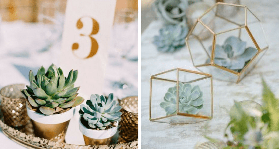 DECORATE YOUR WEDDING WITH SUCCULENTS