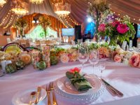 How Much Does Wedding Wire Really Cost